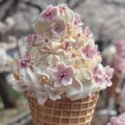 ヒメ日記 2026/04/13 08:22 投稿 なお アロマエステ アイウィッシュ