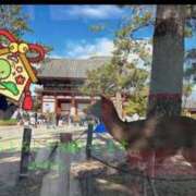 ヒメ日記 2025/01/05 21:19 投稿 かれん 熟女家 十三店