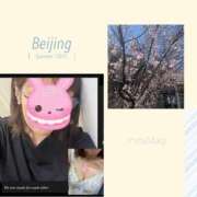 ヒメ日記 2025/03/23 00:35 投稿 かれん 熟女家 十三店