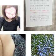 ヒメ日記 2025/04/20 22:00 投稿 かれん 熟女家 十三店