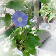 ヒメ日記 2025/07/09 13:20 投稿 かれん 熟女家 十三店