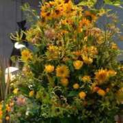 ヒメ日記 2025/07/27 08:23 投稿 かれん 熟女家 十三店