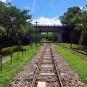ヒメ日記 2025/07/31 20:18 投稿 かれん 熟女家 十三店
