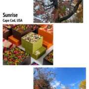 ヒメ日記 2025/11/23 17:15 投稿 かれん 熟女家 十三店