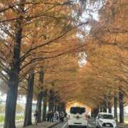 ヒメ日記 2025/11/30 09:45 投稿 かれん 熟女家 十三店