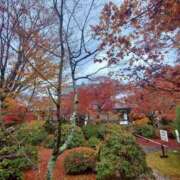 かれん ごめんなさい🙇‍♀️ 熟女家 十三店