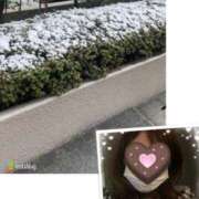 ヒメ日記 2026/02/08 21:13 投稿 かれん 熟女家 十三店