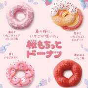 ヒメ日記 2026/03/18 11:10 投稿 かれん 熟女家 十三店