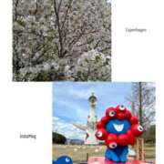 ヒメ日記 2026/04/05 21:45 投稿 かれん 熟女家 十三店