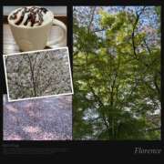 ヒメ日記 2026/04/12 20:48 投稿 かれん 熟女家 十三店