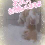 ヒメ日記 2025/05/21 14:35 投稿 なら 熟女家 ミナミエリア店