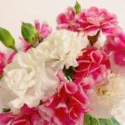 ヒメ日記 2025/04/02 07:58 投稿 夢 恋愛マット同好会