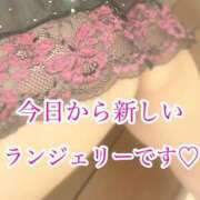 ヒメ日記 2025/07/22 09:18 投稿 夢 恋愛マット同好会