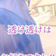 ヒメ日記 2025/08/06 09:18 投稿 夢 恋愛マット同好会