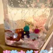 ヒメ日記 2026/02/19 16:18 投稿 夢 恋愛マット同好会