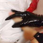 ヒメ日記 2025/06/11 18:40 投稿 まいか 奥様クラブ