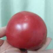 ヒメ日記 2025/06/11 22:15 投稿 まいか 奥様クラブ