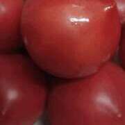 ヒメ日記 2025/08/16 14:00 投稿 まいか 奥様クラブ