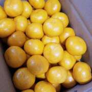 ヒメ日記 2025/11/14 18:50 投稿 ルイ 奥様クラブ