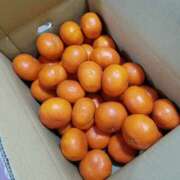 ヒメ日記 2025/12/21 09:05 投稿 ルイ 奥様クラブ