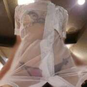 ヒメ日記 2026/03/07 07:10 投稿 ルイ 奥様クラブ