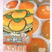 ヒメ日記 2024/11/19 18:40 投稿 あかね 奥様クラブ