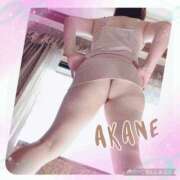 ヒメ日記 2024/12/06 20:40 投稿 あかね 奥様クラブ