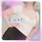 ヒメ日記 2024/12/07 23:50 投稿 あかね 奥様クラブ