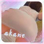 ヒメ日記 2024/12/11 09:45 投稿 あかね 奥様クラブ