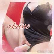 ヒメ日記 2024/12/13 09:40 投稿 あかね 奥様クラブ