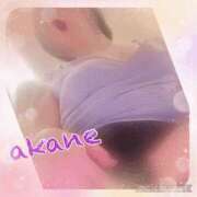 ヒメ日記 2024/12/14 09:35 投稿 あかね 奥様クラブ