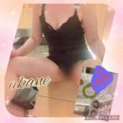 ヒメ日記 2024/12/14 21:10 投稿 あかね 奥様クラブ