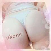 ヒメ日記 2024/12/16 09:50 投稿 あかね 奥様クラブ