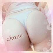 ヒメ日記 2024/12/16 15:00 投稿 あかね 奥様クラブ