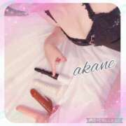 ヒメ日記 2024/12/20 11:40 投稿 あかね 奥様クラブ