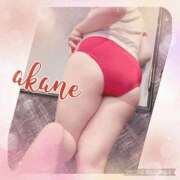 ヒメ日記 2024/12/21 11:50 投稿 あかね 奥様クラブ