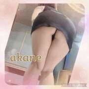 ヒメ日記 2024/12/22 09:35 投稿 あかね 奥様クラブ