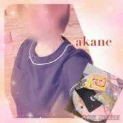 ヒメ日記 2024/12/22 10:20 投稿 あかね 奥様クラブ