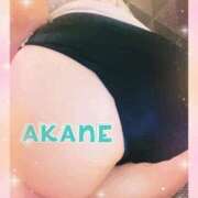 ヒメ日記 2024/12/27 09:05 投稿 あかね 奥様クラブ