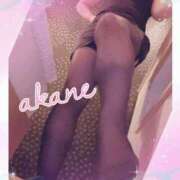 ヒメ日記 2024/12/28 09:10 投稿 あかね 奥様クラブ