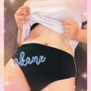 ヒメ日記 2024/12/29 09:05 投稿 あかね 奥様クラブ