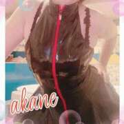 ヒメ日記 2024/12/30 09:05 投稿 あかね 奥様クラブ