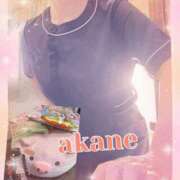 ヒメ日記 2024/12/30 10:20 投稿 あかね 奥様クラブ