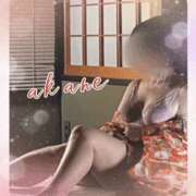 ヒメ日記 2025/01/07 10:35 投稿 あかね 奥様クラブ