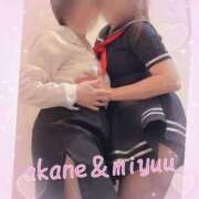 ヒメ日記 2025/01/13 09:35 投稿 あかね 奥様クラブ