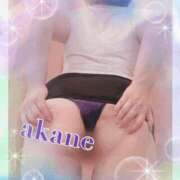 ヒメ日記 2025/01/15 09:30 投稿 あかね 奥様クラブ