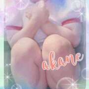 ヒメ日記 2025/01/18 09:05 投稿 あかね 奥様クラブ