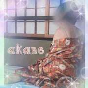 ヒメ日記 2025/01/19 09:05 投稿 あかね 奥様クラブ