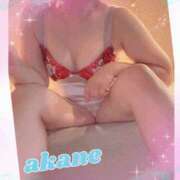 ヒメ日記 2025/01/19 10:50 投稿 あかね 奥様クラブ