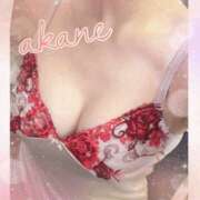 ヒメ日記 2025/02/05 12:15 投稿 あかね 奥様クラブ